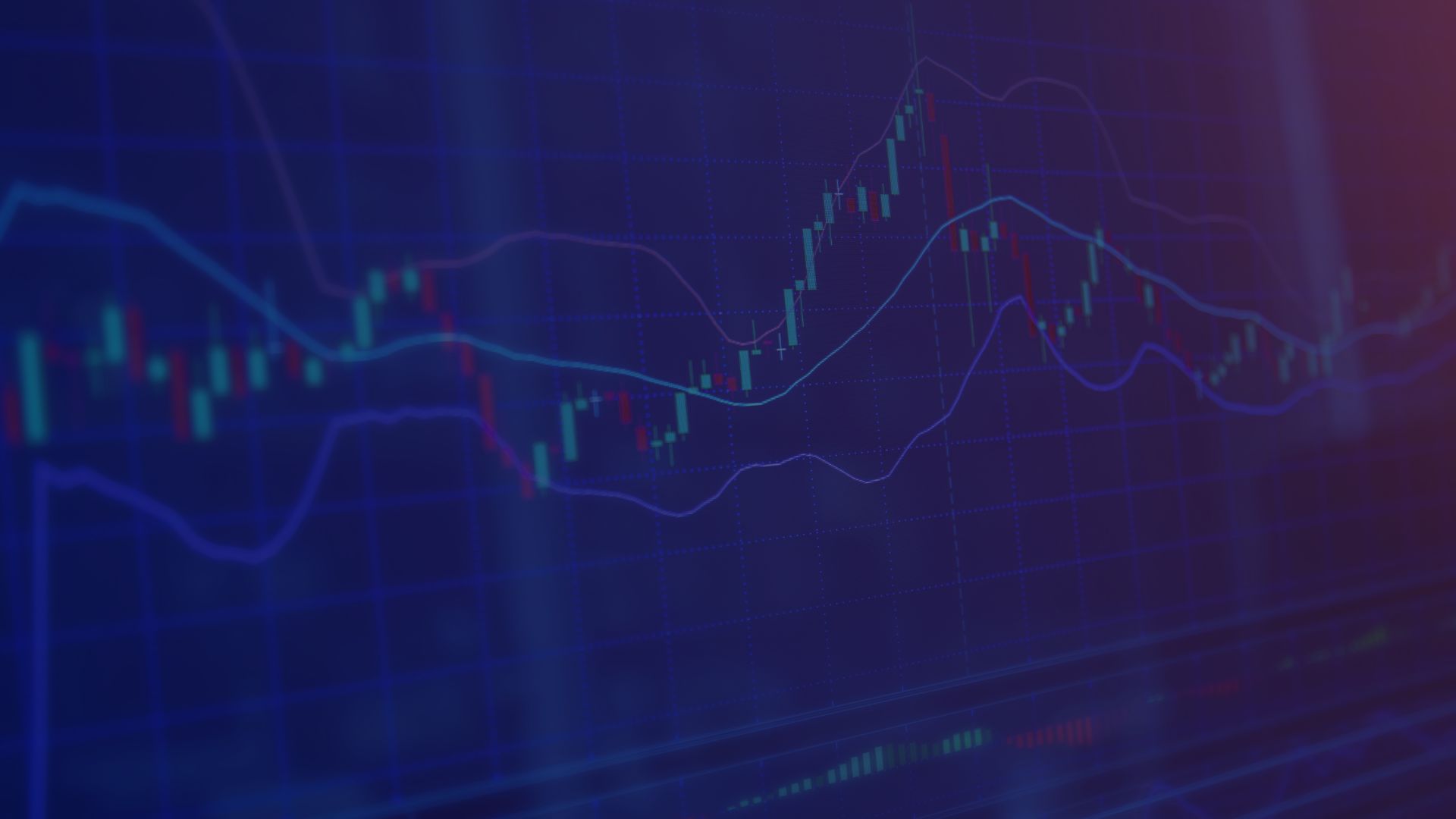 Flappy Musk's background